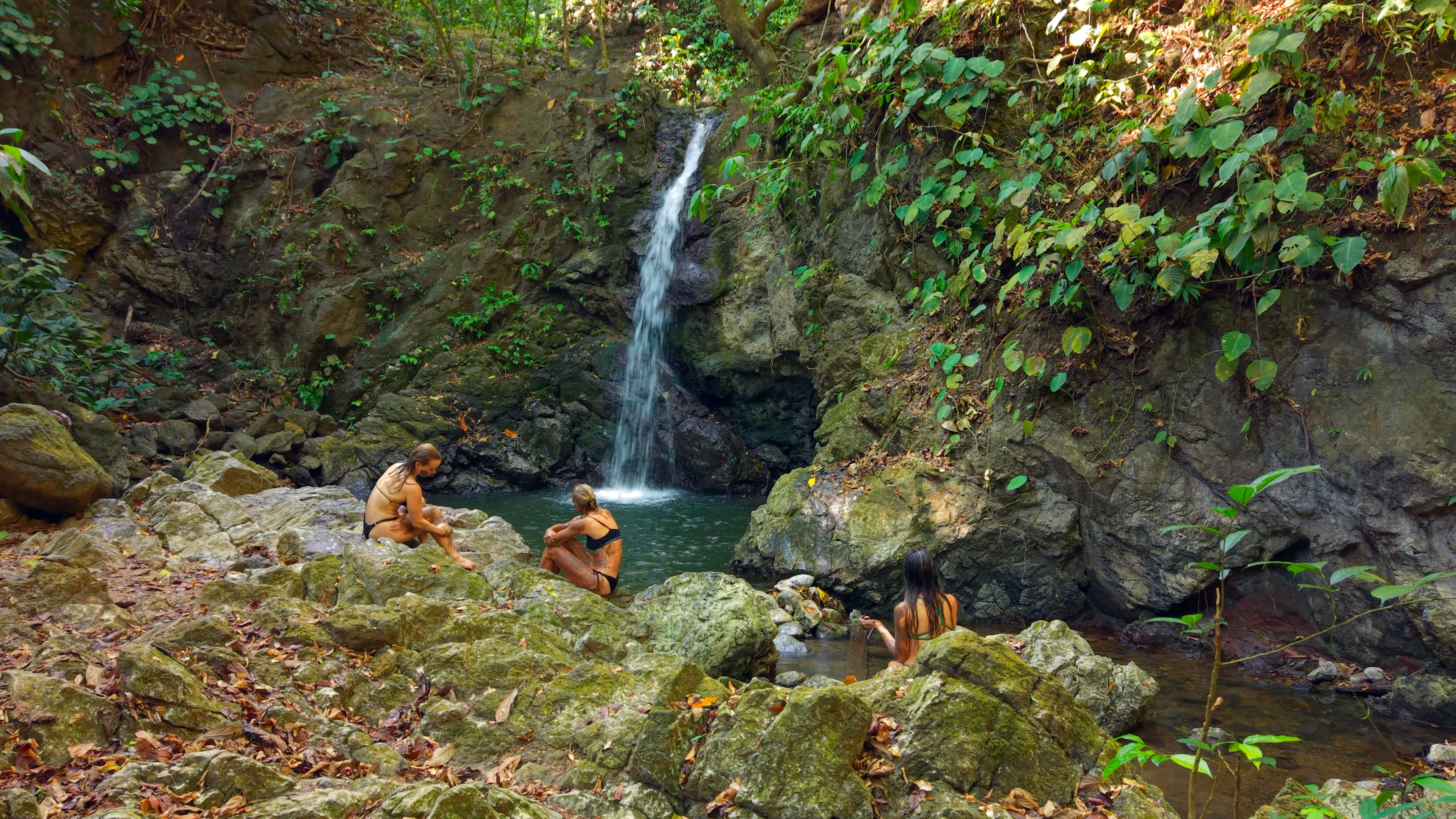 wildlife reserve within the rainforest