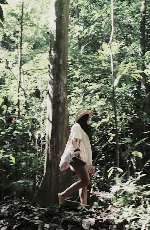 Waterfall in the jungle